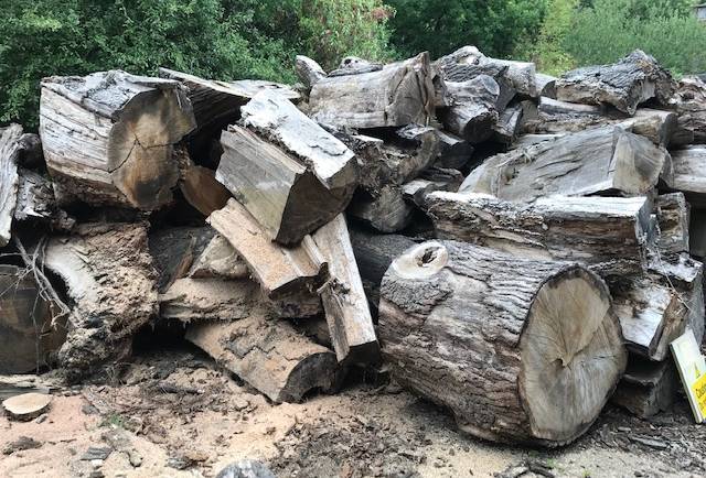 Log cutting services from Stratford Logs