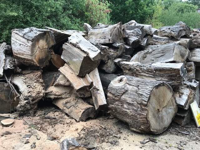 Log cutting services from Stratford Logs