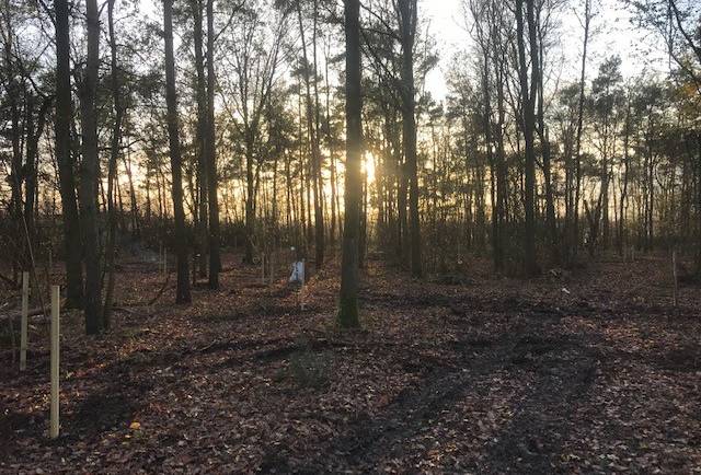 Processing logs for the coming winter